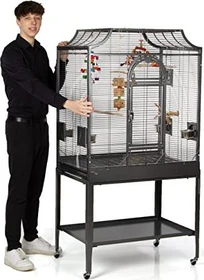 Wagner's Montana Cages Madeira II, antik