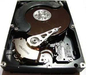 Samsung Spinpoint F1 750GB, 3.5" / SATA 3Gb/s