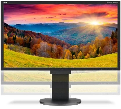NEC MultiSync EA244WMi-BK, schwarz, 24"