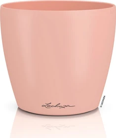 Lechuza Classico Color Deco 14 magnolie