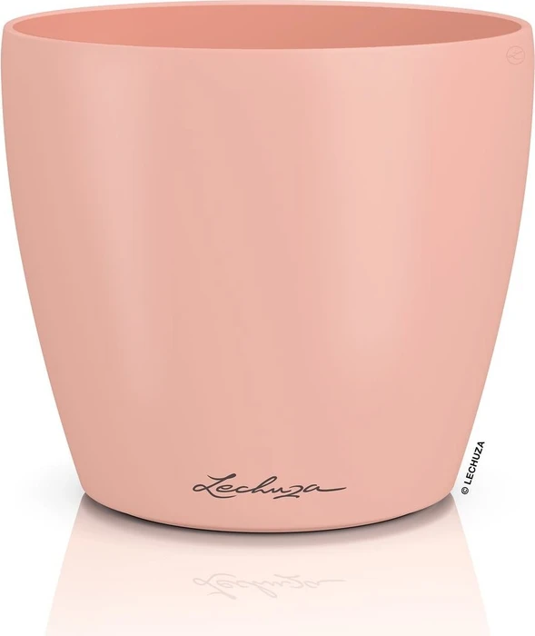 Lechuza Classico Color Deco 14 magnolie
