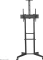 Neomounts FL50-550BL1 Vorschaubild