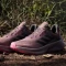 adidas Terrex Soulstride Flow GTX burgundy/core black/pink fusion (Damen) Vorschaubild