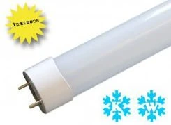 Luminous Röhre Ecoline 8W GU13 6000K (27822)