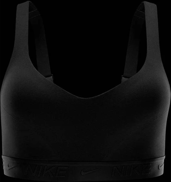 Nike Indy High-Support Sport-BH schwarz (Damen)