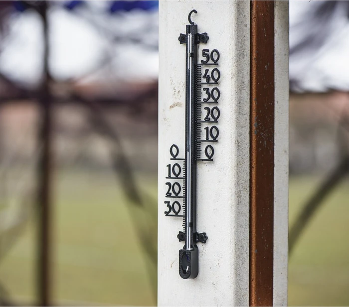 Hama Baumstruktur Wetterstation 26cm, analog