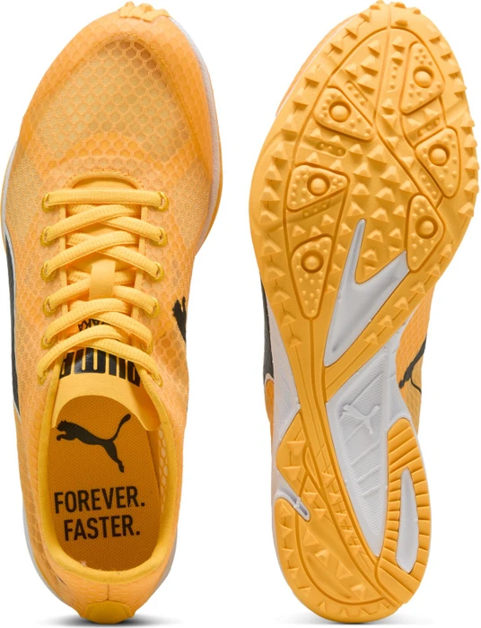 Puma evoSPEED Haraka 8 sun stream/puma black/puma white