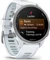 Garmin Forerunner 170 whitestone/whitestone-cloud blue Vorschaubild