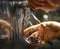 Riedel The O Wine Tumbler O to Go Rotweinglas Vorschaubild