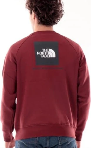 The North Face NSE Raglan Box Sweatshirt sumac/asphalt grey (Herren)