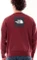 The North Face NSE Raglan Box Sweatshirt (Herren) Vorschaubild