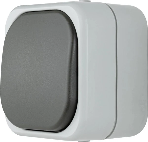 REV Ritter AquaTop Aus-/Wechselschalter AP IP 44, grau