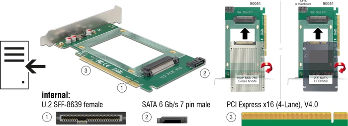 DeLOCK PCIe 4.0 x16 -> U.2 2.5"