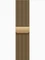 Apple Watch Series 12 (GPS + Cellular) 42mm Titan brillantgold mit Milanaise-Armband brillantgold Vorschaubild
