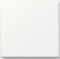 Gira System 55 Wippe 3296 Vorschaubild