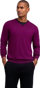 Falke Basic Apparel V-Ausschnitt Pullover vendetta (Herren)