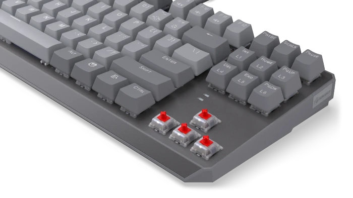 Endorfy Thock V2 TKL, PBT, grau, LEDs RGB, hot-swap, Endorfy RED, USB, US