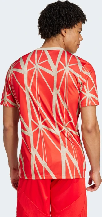 adidas FC Bayern München 2024/2025 Aufwärmshirt (Herren)