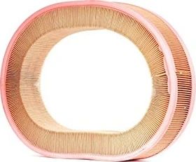 MANN-FILTER C 37 107 Filtro Aria Auto - Qualità Originale, Protezione Motore, Sostituzione
