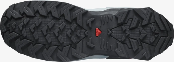 Salomon X Raise 2 GTX legion blue/black/quarry (Herren)