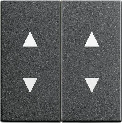 Gira System 55 Wippe 2fach, anthrazit