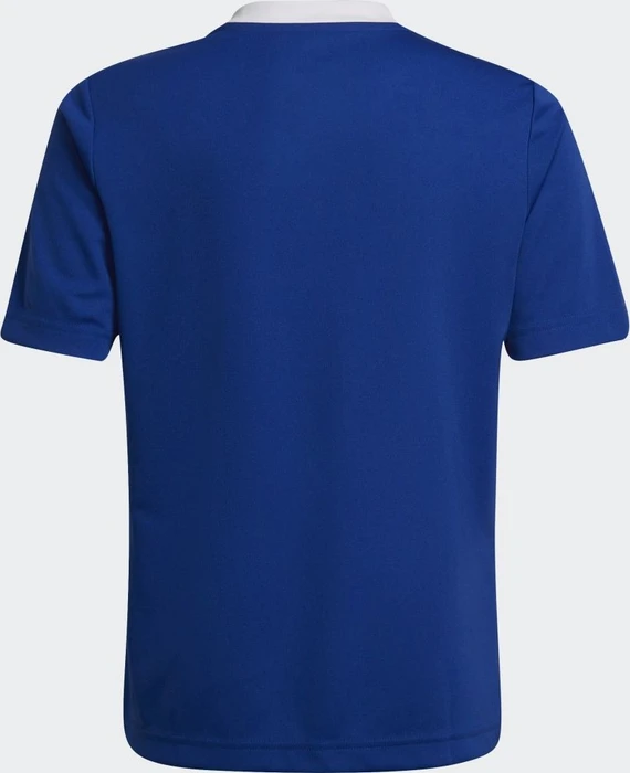 adidas Entrada 22 Trikot kurzarm royal blue (Junior)