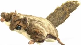 Folkmanis Handpuppe fliegendes Eichhörnchen