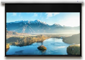 Deluxx Advanced Elegance Motorleinwand mattweiß polaro 16:9 266x149cm