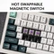 Keychron Q1 HE, Shell White, 100%, PBT, LEDs RGB, Gateron 2.0 Magnetic Nebula, USB/Bluetooth, US Vorschaubild