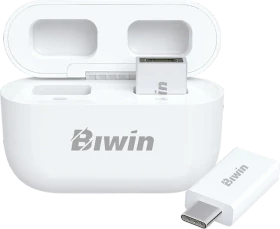 Biwin UD400    256GB, USB-C, USB 3.2 Gen 1×1