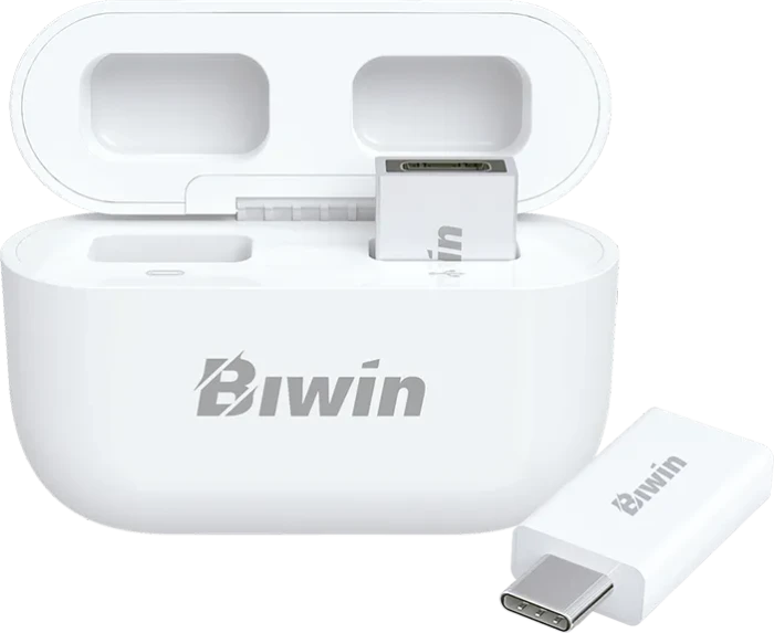 Biwin UD400 256GB, USB-C, USB 3.2 Gen 1×1