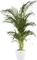 Elho Brussels rund Blumentopf Vorschaubild