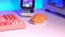 Akko x Waigua Cat Theme Wireless Mouse, Orange Kate, USB Vorschaubild
