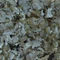 JBL Spirulina Premium Hauptfutter für Algenfresser, 160g, 1l Vorschaubild