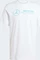 adidas Mercedes AMG Petronas Formula One Team DNA Graphic T-Shirt kurzarm white/semi mint rush (Herren) Vorschaubild