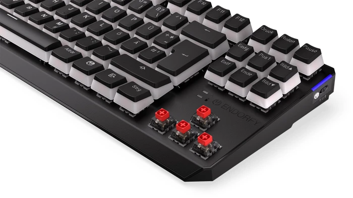 Endorfy Thock TKL Wireless Pudding, PBT, LEDs RGB, hot-swap, Kailh Box RED, USB/Bluetooth, DE