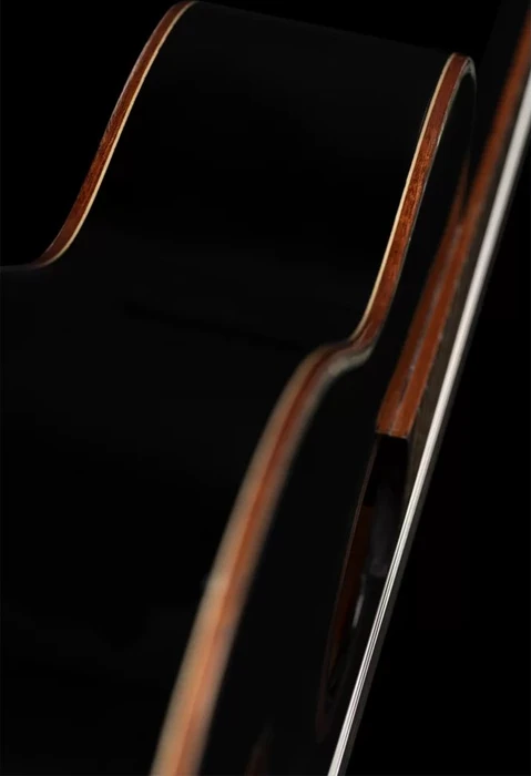Ortega R221SNBK Slim Neck