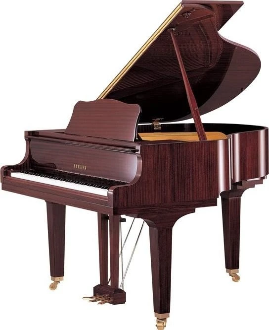 Yamaha GB1 (verschiedene Farben)