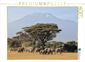 Calvendo Majestätische Tiere vor dem Berg der Berge: Elefanten vor dem Kilimandjaro, Kenia