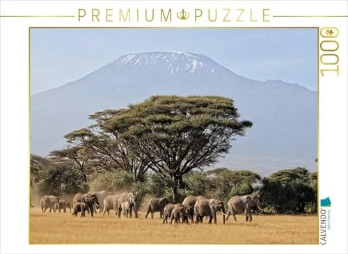 Calvendo Majestätische Tiere vor dem Berg der Berge: Elefanten vor dem Kilimandjaro, Kenia