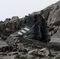 adidas Terrex Skychaser Tech Mid GTX core black/grey one/grey five Vorschaubild