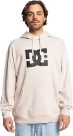 DC Star Hoodie moonbeam (Herren)