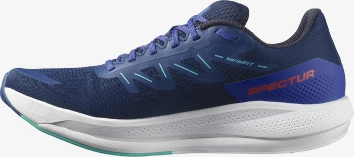 Salomon Spectur estate blue/dazzling blue/mint leaf (Herren)