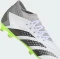 adidas Predator Accuracy.3 FG cloud white/core black/lucid lemon Vorschaubild