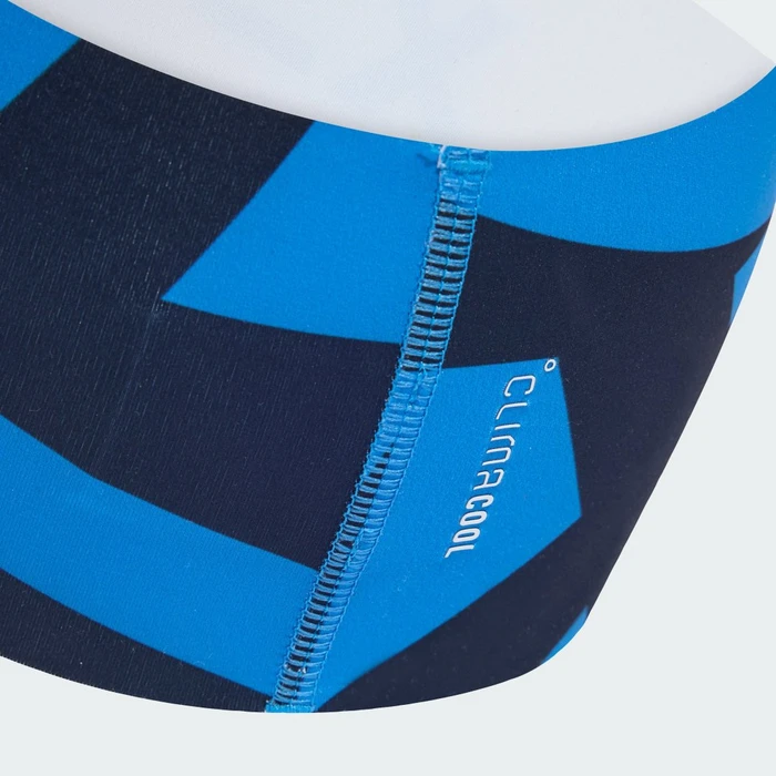 adidas Terrex Climacool Graphic Stirnband ray blue/legend ink