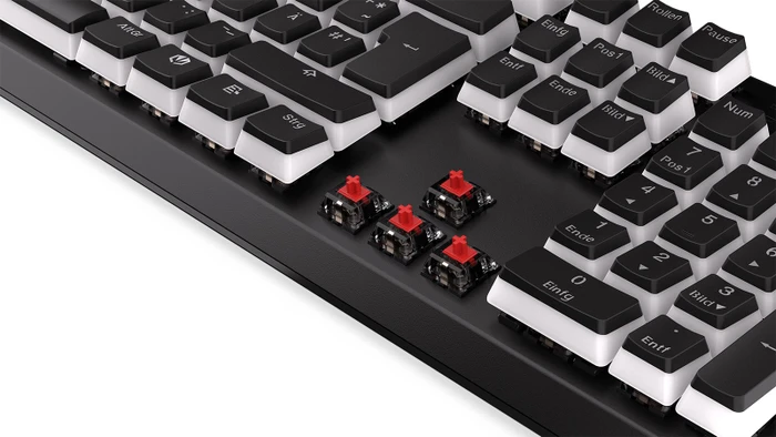 Endorfy Thock Pudding, PBT, LEDs RGB, Kailh RED, USB, DE