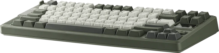 Epomaker RT85 Wireless, Green White, LEDs RGB, hot-swap, Epomaker Wisteria V2, USB/Bluetooth, US