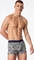 Schiesser 95/5 Multipack Boxer Briefs sortiert (Herren) Vorschaubild