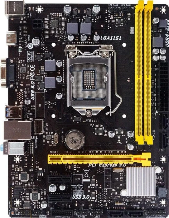 Biostar H110
