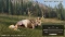 Way of the Hunter 2 (PC) Vorschaubild